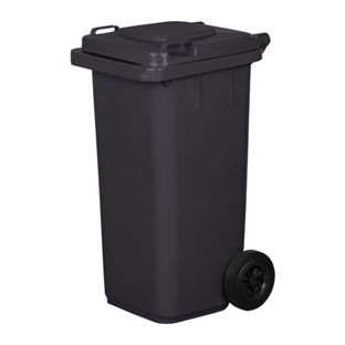 p120l